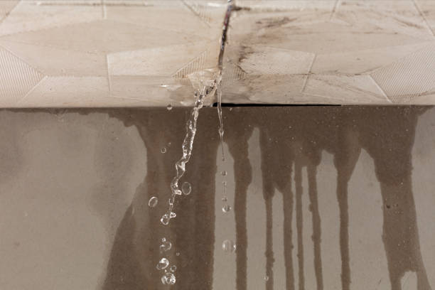 Professional Burst Pipe Cleanup technician working in Rixeyville, VA